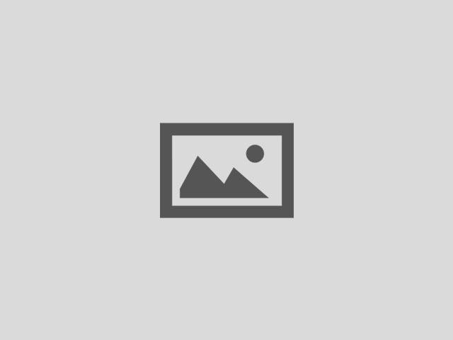 Bodor Protective Windows Image