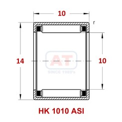 HK 1010 ASI Image