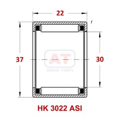 HK 3022 ASI Image