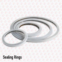 Seal Rings Image